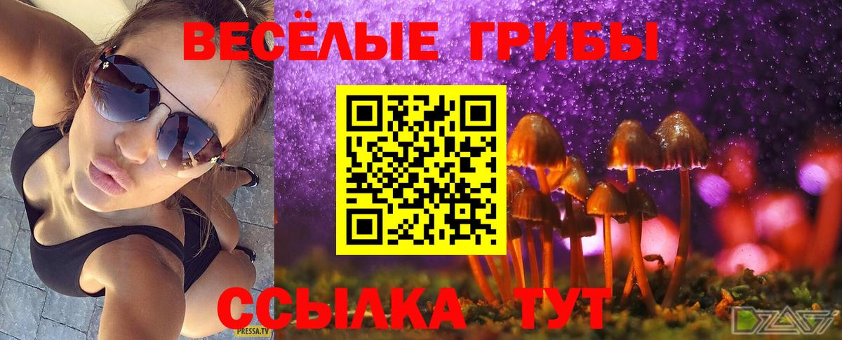 Галлюциногенные грибы Psilocybe  Вход с VPN  Галлюциногенные грибы Cubensis  Ржев 