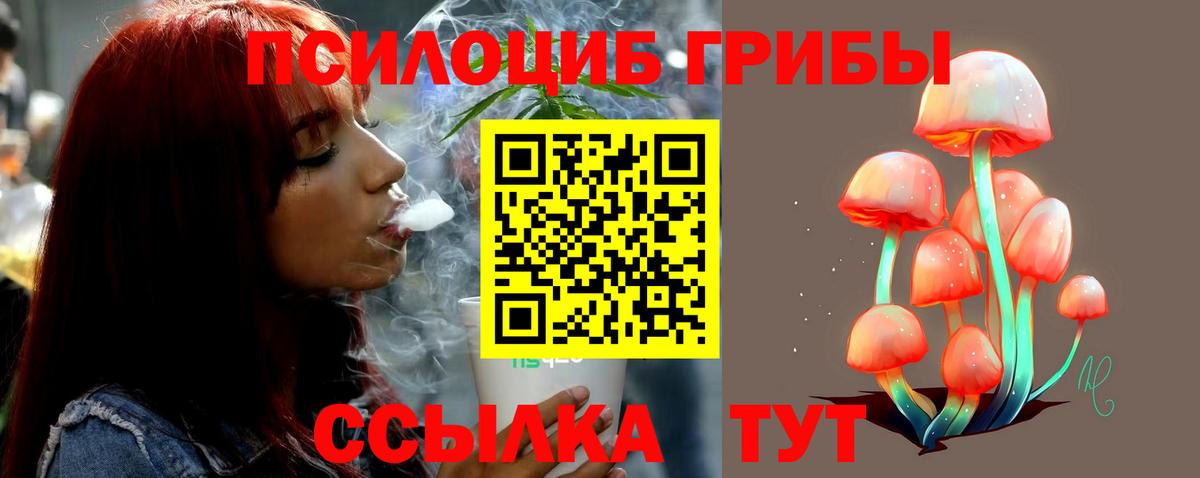 Псилоцибиновые грибы Psilocybe Ржев